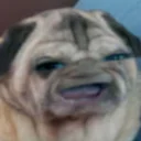 Sticker Dank Nevera's stickers - 8