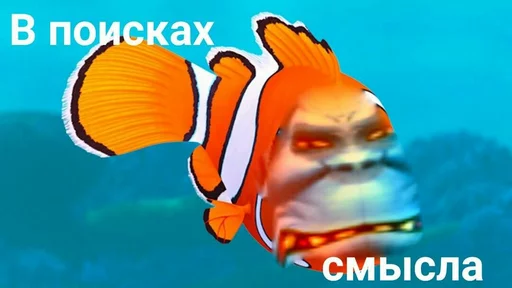 рыба животное морская биология