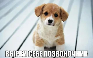 Sticker danysshi - 4