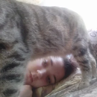 Sticker данюша бич. - 7