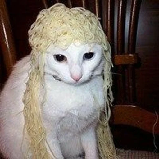 животное млекопитающее мех