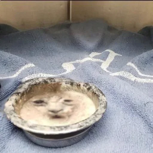 bowl mixing bowl dishware