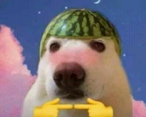 toy mammal watermelon