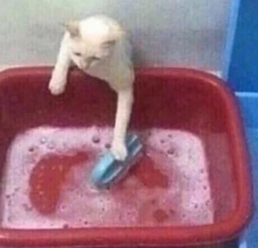 bathtub sink bathroom