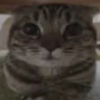 Sticker uuhjhhhhhjjkhjng - 1