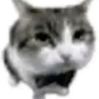 Sticker uuhjhhhhhjjkhjng - 7