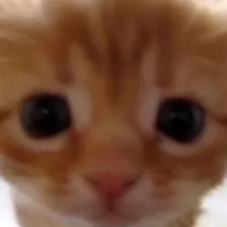 Sticker uuhjhhhhhjjkhjng - 8