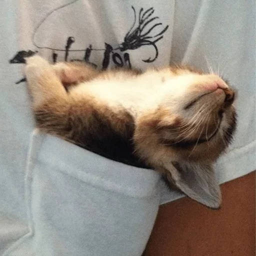 Стикер dariska - 1