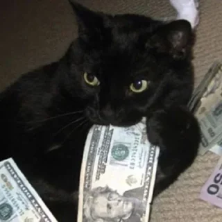 Стикер Dark cat @anime4_arts - 8