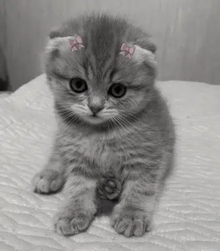 Стикер darkdlx - 1