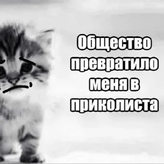 Sticker *ੈ✩‧₊˚༺ 𝗱𝗮𝗿𝗸’𝗱𝗹𝘅 ༻*ੈ✩‧₊˚ - 6