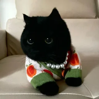 Sticker dark cat (by AstRa OWN) - 10