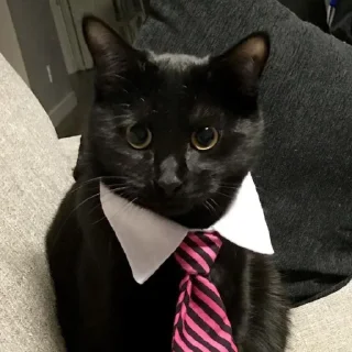 Sticker dark cat (by AstRa OWN) - 4