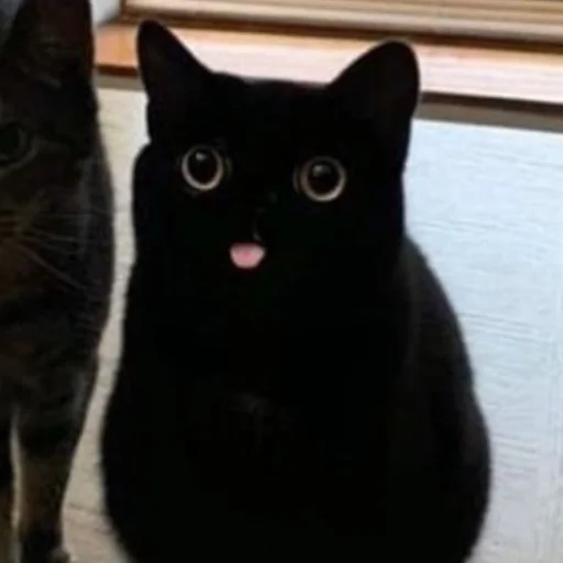 Sticker dark cat (by AstRa OWN) - 6