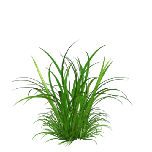 Стикер darknetkmz - 1