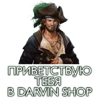 Sticker DARVIN SHOP - 10