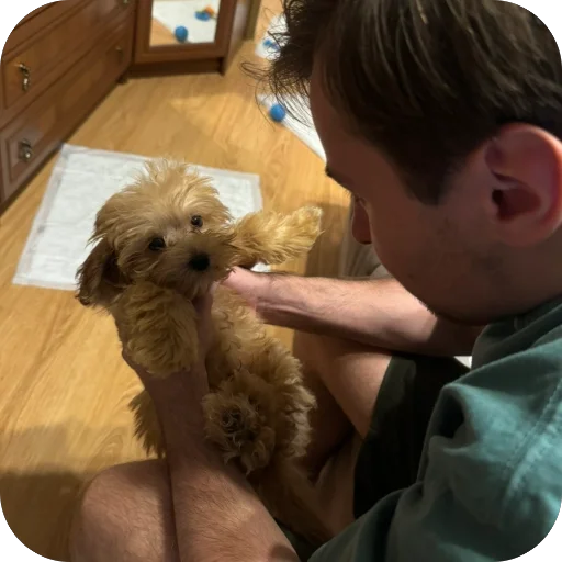 Sticker darwizz_by_TgEmodziBot - 1