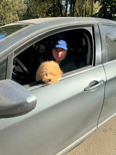 Sticker darwizz_by_TgEmodziBot - 1