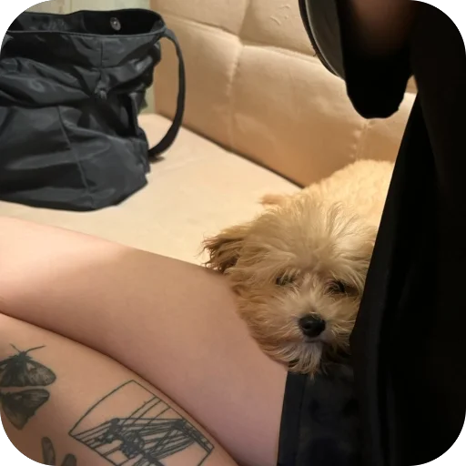 Sticker darwizz_by_TgEmodziBot - 1