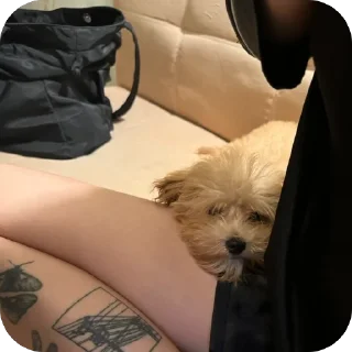 Стикер дарвин @TgEmodziBot - 11