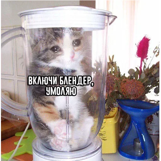 Sticker daryalisa - 1