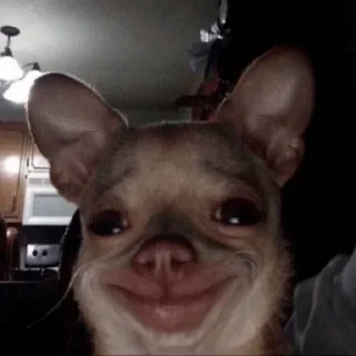 Sticker dar.yalisa - 6