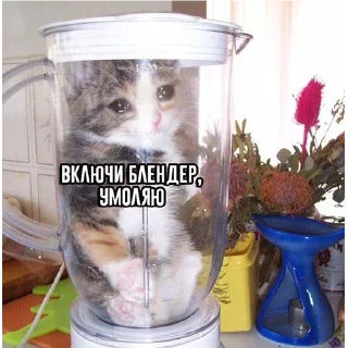 Sticker dar.yalisa - 3