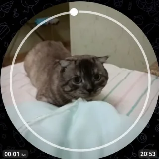 Sticker новый рикуша 😂😜 - 7