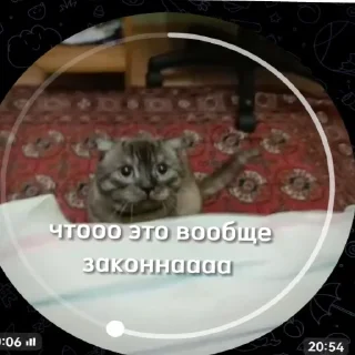 Sticker новый рикуша 😂😜 - 0