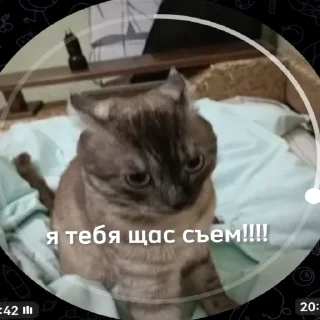 Sticker новый рикуша 😂😜 - 3