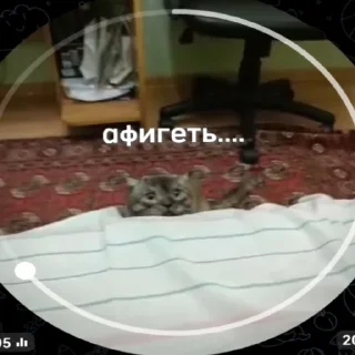 Sticker новый рикуша 😂😜 - 5