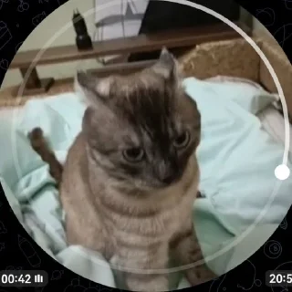 Sticker новый рикуша 😂😜 - 1