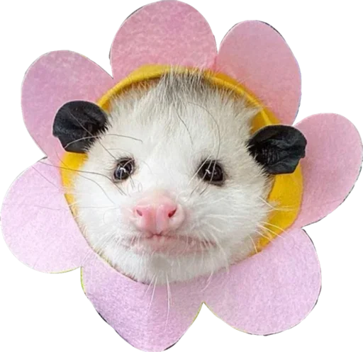 Sticker dashakashas - 1