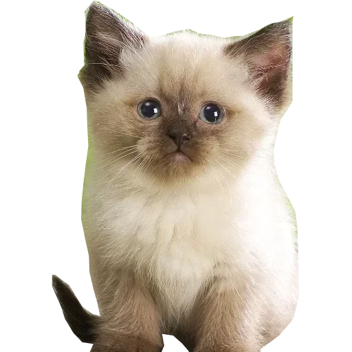 Стикер dashakashas - 1