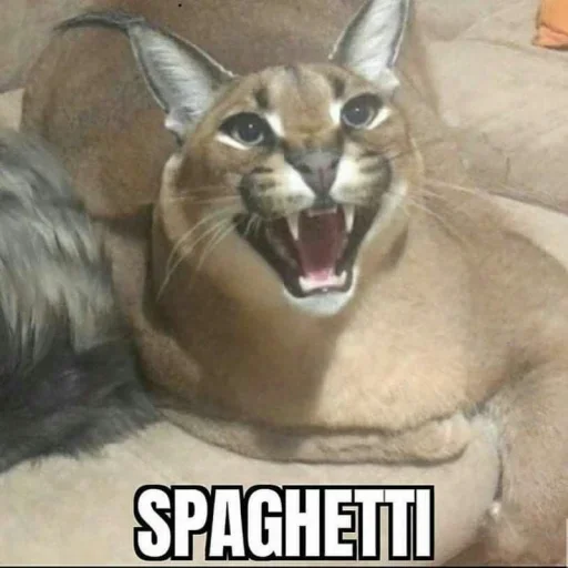 Стикер dashakashas - 1