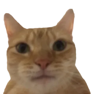 Стикер Comic sans pack @comixsans - 8