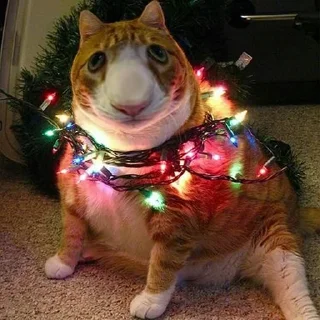 Стикер Comic sans pack @comixsans - 1