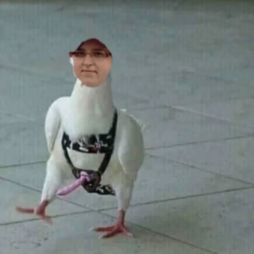 Стикер Дашка - 11