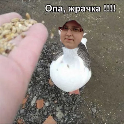 Стикер Дашка - 4