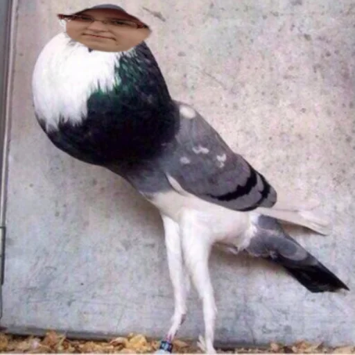 Стикер Дашка - 3