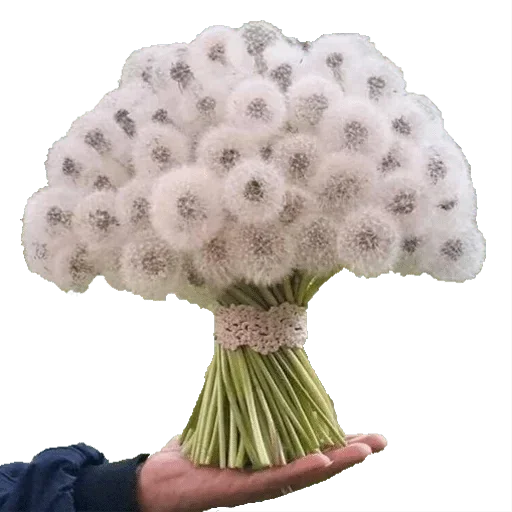 Sticker dasorsyn_SIzT_by_sutekkapakku_bot - 1