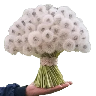 Sticker dasorsyn's Greatest Hits - 7