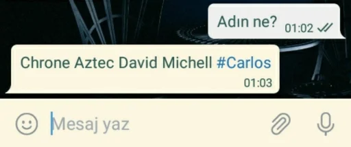 text screenshot font