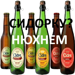 Sticker Meat @stickersb2b - 8