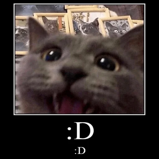 Sticker davayyyuraa - 1