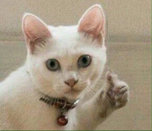 Daveusa's stickerpack - 