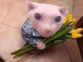 Sticker и мы поехали ко мне - 6