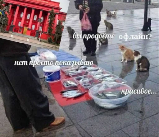 text footwear outdoor