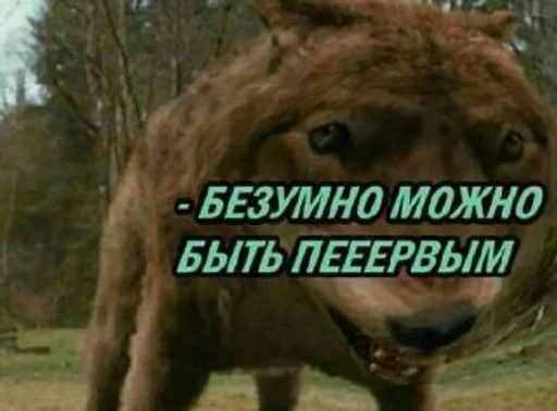 Sticker Хуита тупая by @fStikBot - 1