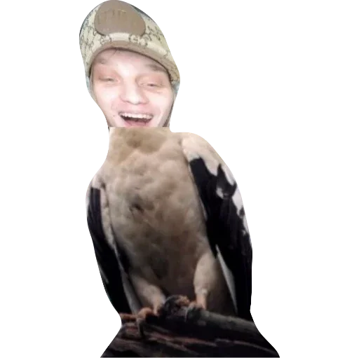 Стикер db7a8b08_7d13_4db1_9a89_6fa5620d1a2a_by_sticat_bot - 1